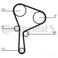 Комплект ремня грм с водяным насосом CONTITECH CT 1064 WP1 CT 1064 K1 ct1064wp1 Renault Megane (KM) 2 Универсал 1.9 dCi 90 л.с. 2004 – 2005