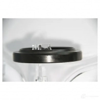 Уплотнительное кольцо CORTECO 19036828B 82036828 BASLRS Simmerring 1385715