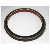 Сальник коленвала CORTECO 19037229B BASLRDX7 + LR Simmerring 82037229 1385829 - Изображение 2