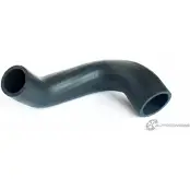 Патрубок воздушный ASAM DD9CY Q SPPEJY6 1424574577 33224