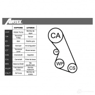Комплект ремня ГРМ с помпой AIRTEX 8435013854487 3P XUQ WPK-167902 1875864 - Изображение 2
