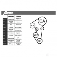 Комплект ремня ГРМ с помпой AIRTEX WPK-167301 8435013854418 13NY C9P 1875857 - Изображение 2