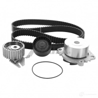 Комплект ремня ГРМ с помпой AIRTEX RPN6 98N 8435013853862 1875811 WPK-154501 - Изображение 1