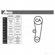 Комплект ремня ГРМ с помпой AIRTEX FSJ9DW X 8435013854227 WPK-161901 1875843 - Изображение 2