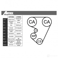 Комплект ремня ГРМ с помпой AIRTEX 8435013853589 J DKQZF 1875789 WPK-139902 - Изображение 2
