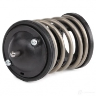 Термостат DAYCO PKO VLG 1437343417 DT1142V - Изображение 4