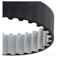 Ремень ГРМ DAYCO 550713 1 31RP+250HT UO8R811 94947 - Изображение 4