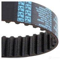 Ремень ГРМ DAYCO 550706 94939 1 32RP260H C6DYKZ - Изображение 5