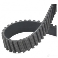 Комплект ремня ГРМ DAYCO 553584 8021787532098 3WFKE J7 KTB216 - Изображение 5