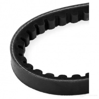 Приводной ремень клиновой DAYCO 13A0675C 549096 86RQYPV 13x 675 - Изображение 3