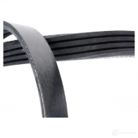 Приводной ремень поликлиновой DAYCO 4x9 00 4PK900 549454 Y6FSE7P - Изображение 4
