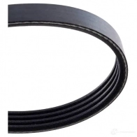 Приводной ремень поликлиновой DAYCO 4x 890 549451 4PK890 BNFVH - Изображение 3