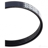 Приводной ремень поликлиновой DAYCO 4 x875 CUENRY 4PK875 549446 - Изображение 3