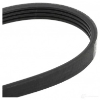 Приводной ремень поликлиновой DAYCO 4 x812 4PK812 549426 W3NFCP - Изображение 3