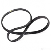 Приводной ремень поликлиновой DAYCO 4 x812 4PK812 549426 W3NFCP - Изображение 4