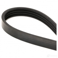 Приводной ремень поликлиновой DAYCO 4x86 0 4PK860 HJT2W 549441 - Изображение 3