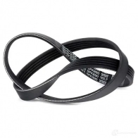 Приводной ремень поликлиновой DAYCO PFLCP8 549623 5x8 90 5PK890 - Изображение 3