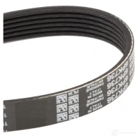Приводной ремень поликлиновой DAYCO 0MDXKO 549941 6x7 36 6PK736 - Изображение 4