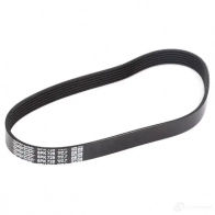 Приводной ремень поликлиновой DAYCO 23C259 6x7 28 6PK728 549939 - Изображение 2