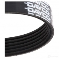Приводной ремень поликлиновой DAYCO 23C259 6x7 28 6PK728 549939 - Изображение 3