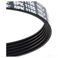 Приводной ремень поликлиновой DAYCO 5x 1155 KXE0J1 549517 5PK1155 - Изображение 4