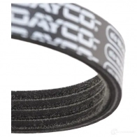 Приводной ремень поликлиновой DAYCO 4 x922 549462 4PK922EE 825EX8R - Изображение 4