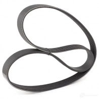 Приводной ремень поликлиновой DAYCO WR5HCC 549982 6PK946 6x 946 - Изображение 3