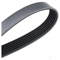 Приводной ремень поликлиновой DAYCO 6x1 000 549656 6PK1000 KOWSAXV - Изображение 4