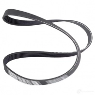 Приводной ремень поликлиновой DAYCO 6PK1050 549673 6x1 050 5K4945 - Изображение 3