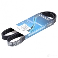 Приводной ремень поликлиновой DAYCO 549509 B593M 5PK1125 5x112 5 - Изображение 2