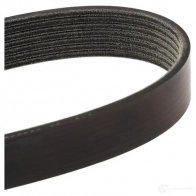 Приводной ремень поликлиновой DAYCO ZYKXS 550066 7PK2035S 7x 2035 - Изображение 4