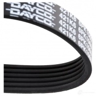 Приводной ремень поликлиновой DAYCO 549682 6x1 069 8GM5C0 6PK1069 - Изображение 4