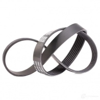 Приводной ремень поликлиновой DAYCO 6x9 00 IGF5W 549974 6PK900 - Изображение 2