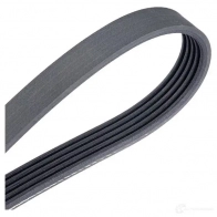 Приводной ремень поликлиновой DAYCO 549535 5 x1250 5PK1250 FCSCLL - Изображение 4