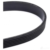 Приводной ремень поликлиновой DAYCO L07IR 549934 6 x2870 6PK2870 - Изображение 3