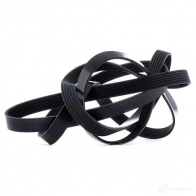 Приводной ремень поликлиновой DAYCO L07IR 549934 6 x2870 6PK2870 - Изображение 4