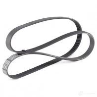 Приводной ремень поликлиновой DAYCO 5PK1435 549555 5x 1435 6D4UMKR - Изображение 2