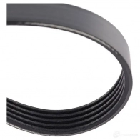 Приводной ремень поликлиновой DAYCO 5PK1435 549555 5x 1435 6D4UMKR - Изображение 3