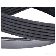 Приводной ремень поликлиновой DAYCO 6x1 160 6PK1160 3PQBPTY 549706 - Изображение 4