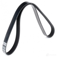 Приводной ремень поликлиновой DAYCO 549705 6x1 155 6PK1155 R4Y2W - Изображение 3