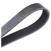 Приводной ремень поликлиновой DAYCO 549705 6x1 155 6PK1155 R4Y2W - Изображение 4