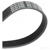 Приводной ремень поликлиновой DAYCO 6x1 125 549698 AEAJ3NU 6PK1125 - Изображение 2