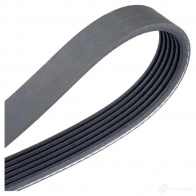 Приводной ремень поликлиновой DAYCO 6x11 85 ABAMMA 549711 6PK1185 - Изображение 4