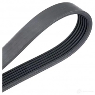 Приводной ремень поликлиновой DAYCO 549847 6x19 04 AX7HU 6PK1904 - Изображение 4