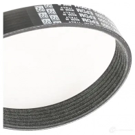 Приводной ремень поликлиновой DAYCO 6PK1050S VMFZU1 6x 1050 549675 - Изображение 2
