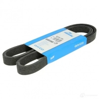 Приводной ремень поликлиновой DAYCO 6DPK1195 549645 PAU2F0 6x11 95 - Изображение 3
