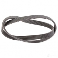 Приводной ремень поликлиновой DAYCO 6DPK1195 549645 PAU2F0 6x11 95 - Изображение 4