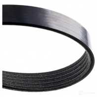 Приводной ремень поликлиновой DAYCO 48S32 5PK1095S 5x1 095 549502 - Изображение 3
