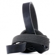 Приводной ремень поликлиновой DAYCO 48S32 5PK1095S 5x1 095 549502 - Изображение 4