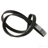 Приводной ремень поликлиновой DAYCO 549733 AOEXUT 6x1 310 6PK1310 - Изображение 6